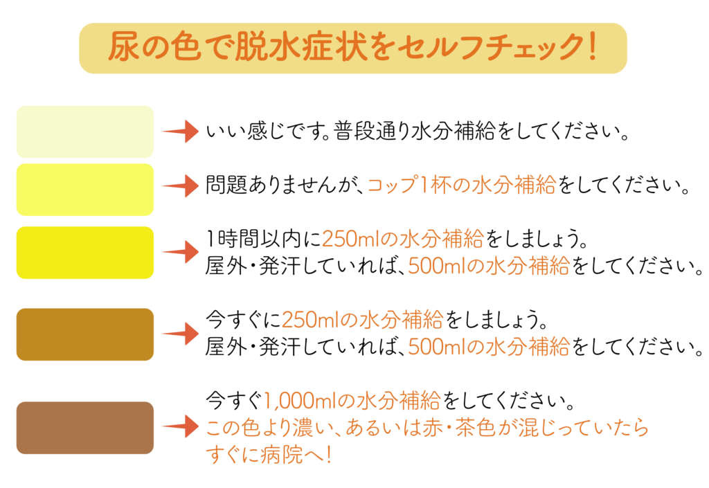 脱水症状セルフチェック