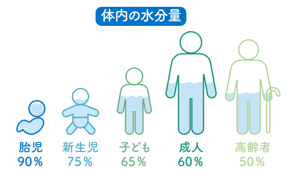 体内の水分量