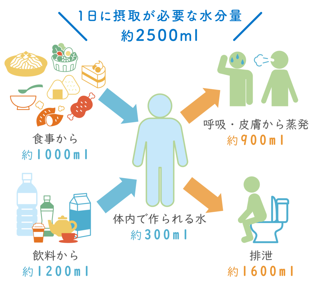 1日に摂取が必要な水分量